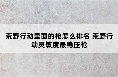 荒野行动里面的枪怎么排名 荒野行动灵敏度最稳压枪